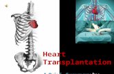 Heart  Transplantation A Brief   Summary  by  Nikolett Jakab