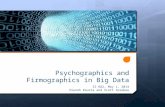 Psychographics and Firmographics in Big Data