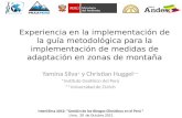 Yamina Silva *  y Christian Huggel ** *Instituto Geofísico del Perú **Universidad de  ZUrich