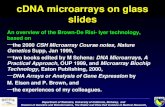 cDNA microarrays on glass slides