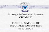 Strategic Information Systems  CBSM4203  TOPIC 4: NATURE OF INFORMATION SYSTEM STRATEGY