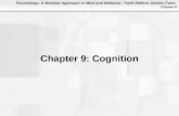 Chapter 9: Cognition