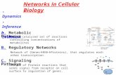 Networks in Cellular Biology