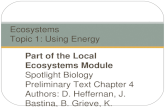 Ecosystems Topic  1 : Using Energy