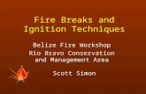 Fire Breaks and Ignition Techniques