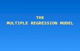 THE MULTIPLE REGRESSION MODEL