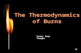 The Thermodynamics o f Burns