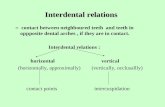 Interdental relations