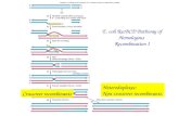 E. coli  RecBCD Pathway of Homologous  Recombination I