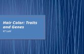 Hair Color: Traits and Genes