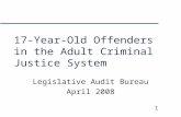 17-Year-Old Offenders in the Adult Criminal Justice System