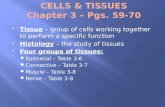 CELLS & TISSUES Chapter 3 – Pgs. 59-70