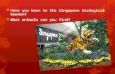 Have you been to the Singapore Zoological Garden?  What animals can you find?