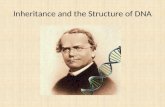 Inheritance and the Structure of DNA