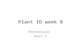 Plant ID  week  8