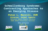 Schmallenberg  Syndrome:  Contrasting Approaches to an Emerging Disease
