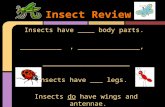 Insect Review