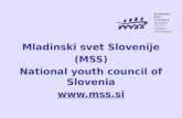 Mladinski svet Slovenije (MSS) National youth council of Slovenia mss.si November 2012