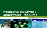 Protecting Biscayne’s Underwater Treasures