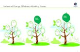 Industrial Energy Efficiency Working Group