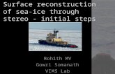 Surface reconstruction of sea-ice through stereo - initial steps