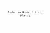 Molecular Basis of Lung  Disease