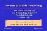 Wireless & Mobile Networking