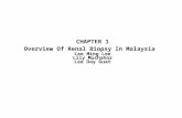 CHAPTER 1 Overview Of Renal Biopsy In Malaysia Lee Ming Lee Lily Mushahar Lee Day Guat