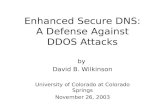 Enhanced Secure DNS: A Defense Against DDOS Attacks