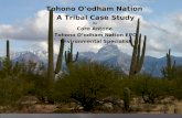 Tohono O’odham Nation  A Tribal Case Study By  Corn Antone  Tohono O’odham Nation EPO