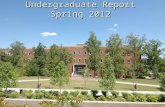 Undergraduate Report Spring 2012