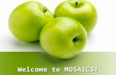 Welcome to MOSAICS!