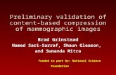 Preliminary validation of content-based compression of mammographic images