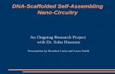 DNA-Scaffolded Self-Assembling Nano-Circuitry