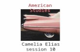 Camelia Elias session 10