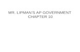 MR. LIPMAN’S AP GOVERNMENT  CHAPTER 10