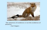 The absence of evidence is not the evidence of absence. - Carl Sagan -