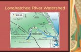 Loxahatchee River Watershed
