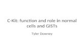 C-Kit: function and role in normal cells and GISTs
