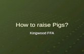 How to raise Pigs?