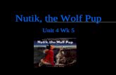 Nutik, the Wolf Pup  Unit 4 Wk 5