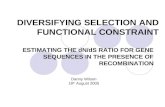 DIVERSIFYING SELECTION AND FUNCTIONAL CONSTRAINT