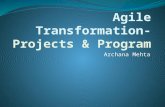 Agile Transformation-  Projects & Program