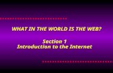 Section 1 Introduction to the Internet
