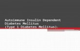 Autoimmune Insulin Dependent Diabetes Mellitus (Type 1 Diabetes Mellitus) :