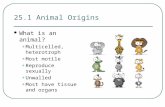 25.1 Animal Origins