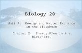 Biology 20  Unit A:  Energy and Matter Exchange in the Biosphere