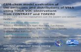 CAM-chem model evaluation of  the emissions and distributions of VSLS  using TOGA VOC observations