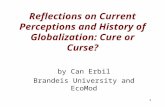 Reflections on Current Perceptions and History of Globalization: Cure or Curse?
