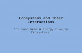 Ecosystems and Their Interactions LT: Food Webs & Energy Flow in Ecosystems